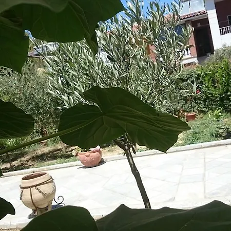 Garden Vila Gasthof Golem (Tirana)